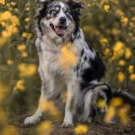 WhatsApp Bild 2025-11-01 um 18.32.56_20de1495