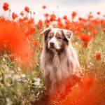 WhatsApp Bild 2025-11-01 um 18.32.56_261fe7b0 WhatsApp Bild 2025-11-01 um 18.32.56_261fe7b0