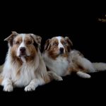 WhatsApp Bild 2025-11-01 um 18.32.56_7e5bdd0c WhatsApp Bild 2025-11-01 um 18.32.56_7e5bdd0c