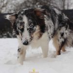 WhatsApp Bild 2025-11-01 um 18.32.56_ca493117