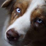 WhatsApp Bild 2025-11-01 um 18.32.56_cfa35cf1 WhatsApp Bild 2025-11-01 um 18.32.56_cfa35cf1