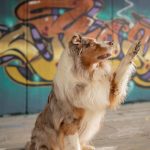 WhatsApp Bild 2025-11-01 um 18.32.56_d342fc5f WhatsApp Bild 2025-11-01 um 18.32.56_d342fc5f