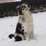 WhatsApp Bild 2025-11-01 um 18.32.57_30e2b206