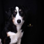 WhatsApp Bild 2025-11-01 um 18.32.57_44035b5a WhatsApp Bild 2025-11-01 um 18.32.57_44035b5a