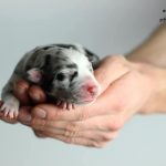 WhatsApp Bild 2025-11-01 um 18.32.57_55627cb6