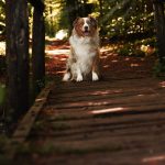 WhatsApp Bild 2025-11-01 um 18.32.57_836360df WhatsApp Bild 2025-11-01 um 18.32.57_836360df