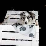 WhatsApp Bild 2025-11-01 um 18.32.57_8c4b64e9