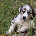 WhatsApp Bild 2025-11-01 um 18.32.57_eec0cd22