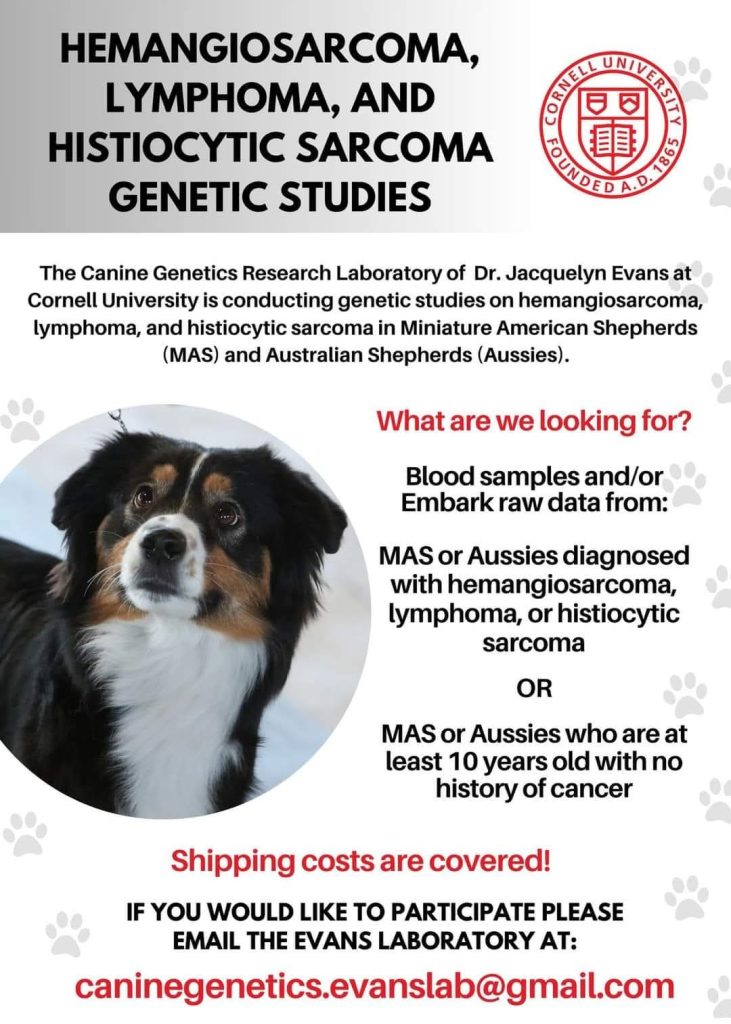 𝗛𝗮̈𝗺𝗮𝗻𝗴𝗶𝗼𝘀𝗮𝗿𝗸𝗼𝗺